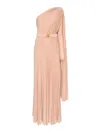 Elisabetta Franchi Vestido Largo - Rosado In Rosado