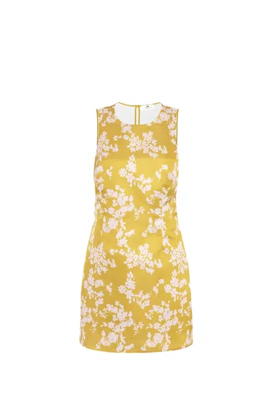 Elisabetta Franchi Dress In Giallo