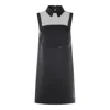 Elisabetta Franchi Dresses Blacks And Greys In Black