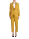 Elisabetta Franchi Dresses In Curry Marrone