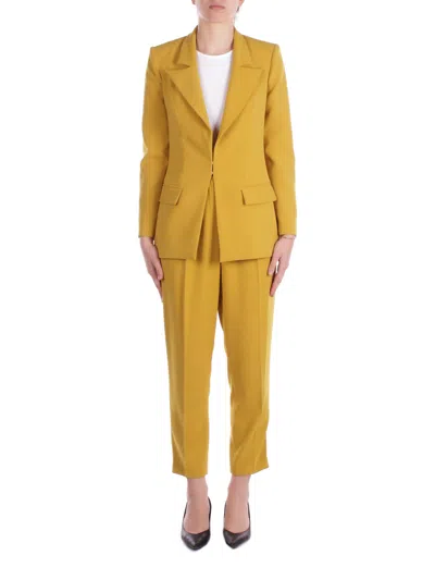 Elisabetta Franchi Dresses In Curry Marrone