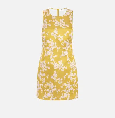 ELISABETTA FRANCHI ELISABETTA FRANCHI DRESSES
