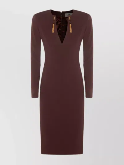 Elisabetta Franchi Fitted Long Sleeve Dress With Tassel Detail In Brown