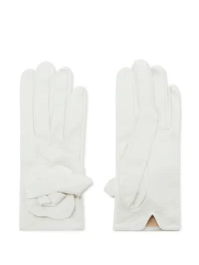 Elisabetta Franchi Floral-appliqué Leather Gloves In 中性色