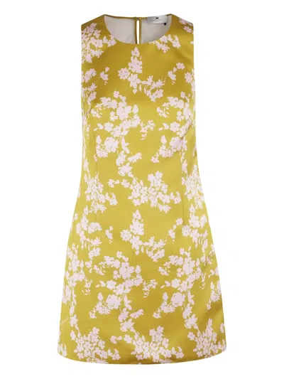 Elisabetta Franchi Printed Duchesse And Tulle Dress In Multi