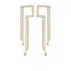 Elisabetta Franchi Crystal-fringe Dangle Earrings In Gold