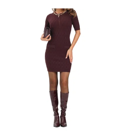 Elisabetta Franchi Knitted Dress In Burgundy