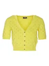 Elisabetta Franchi Cedar Cropped Cardigan With Rhinestones In Yellow