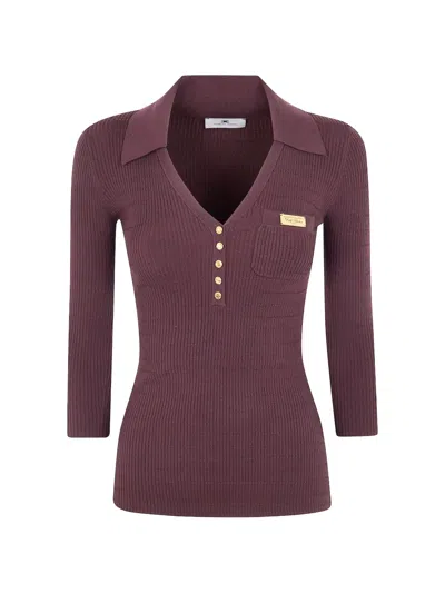 Elisabetta Franchi V-necked Sweater In Purple