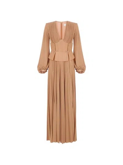 Elisabetta Franchi Long Dress In Brown