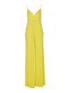 Elisabetta Franchi Jumpsuits In Yellow