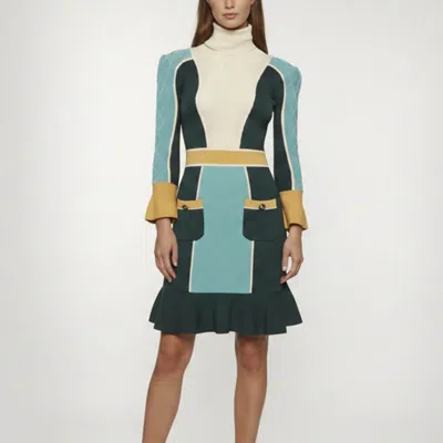 Pre-owned Elisabetta Franchi Multicolour Knitted Turtleneck Mini Dress S