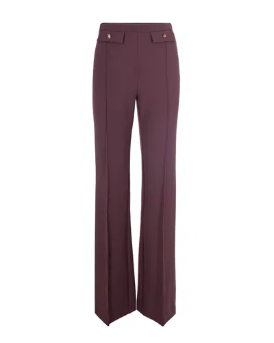 Elisabetta Franchi Pantalone In Doppio Crêpe Bordeaux In Brown