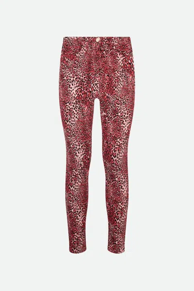 Elisabetta Franchi Pantalone Leopard Peonia In Multicolore