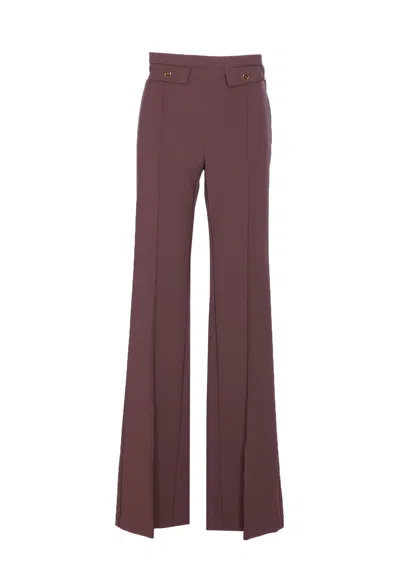Elisabetta Franchi Pants In Brown