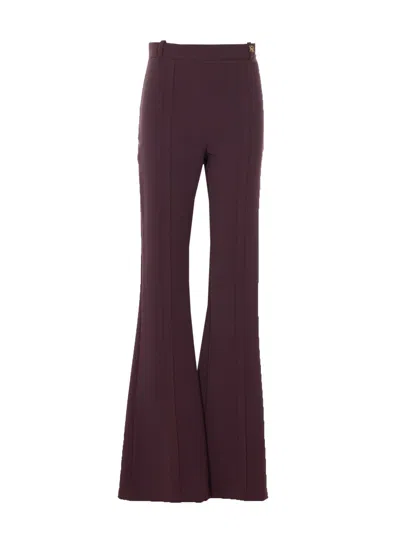 Elisabetta Franchi Pants In Burgundy
