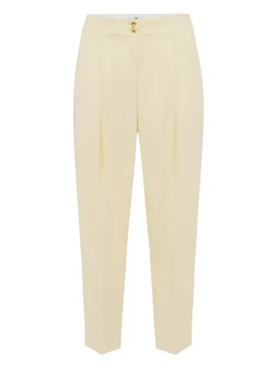 Elisabetta Franchi Pleat-detailed Trousers In Neutral