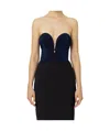 Elisabetta Franchi Pleated Lulex Knitted Onepiece In Black