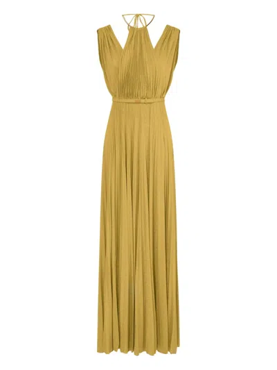 Elisabetta Franchi Pleated Maxi Evening Dress In Yellow