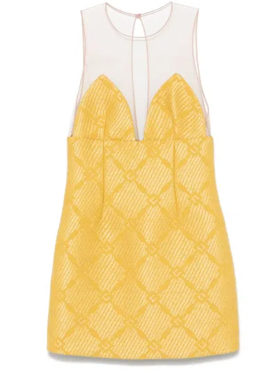 Elisabetta Franchi Raffia Tulle Mini Dress In Gelb