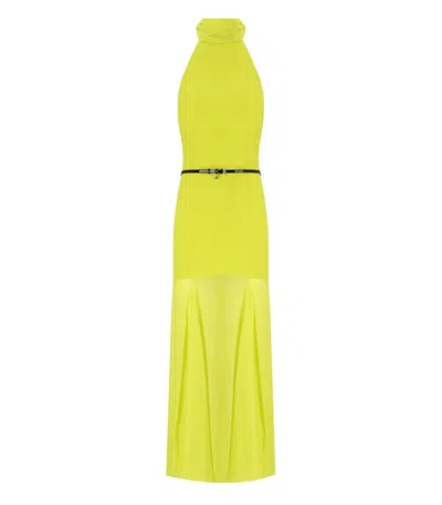 Elisabetta Franchi Red Carpet Cedar Dress In Yellow