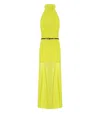 Elisabetta Franchi Red Carpet Cedar Dress In Yellow