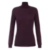 Elisabetta Franchi Wool Blend Turtle-neck Sweater In Purple