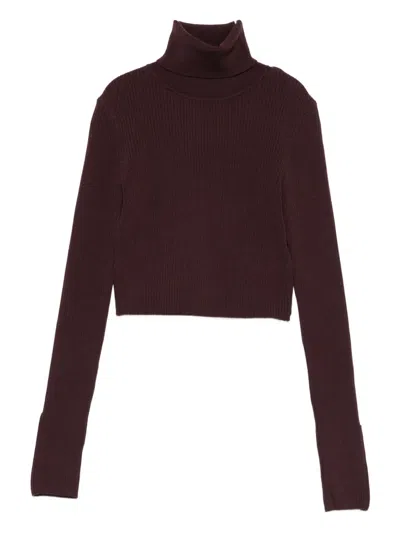 Elisabetta Franchi Ribbed Crop Top In Brown