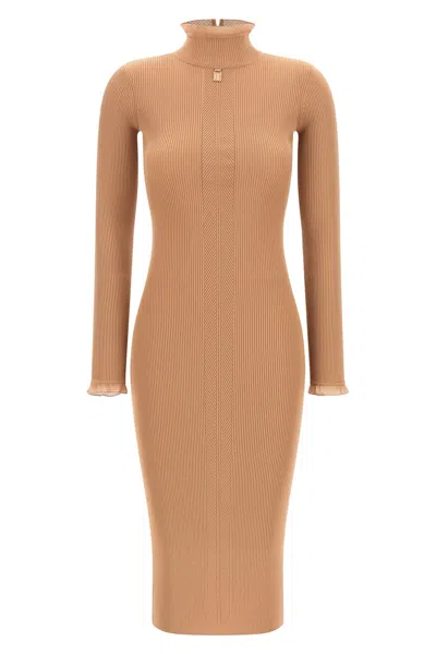 Elisabetta Franchi Ribbed Knit Dress In Brown