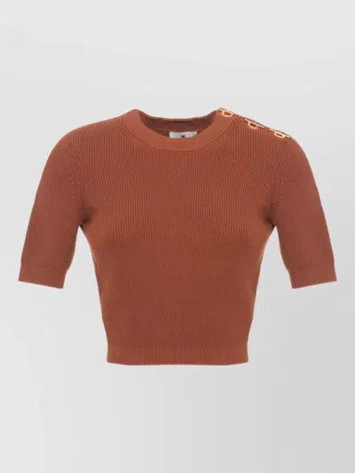 Elisabetta Franchi Ribbed Short-sleeve Crewneck Sweater In Brown