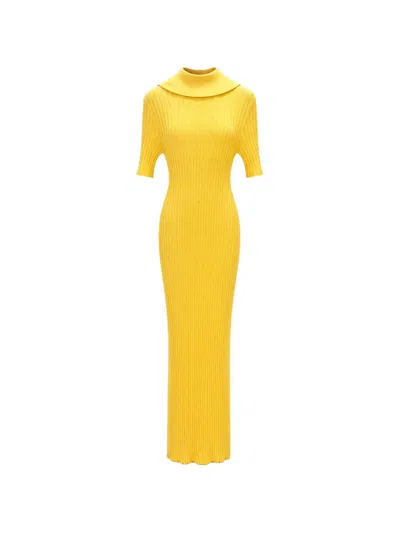Elisabetta Franchi Ribbed-knit Roll-neck Midi Dress In Yellow