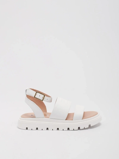 Elisabetta Franchi Kids' Sandals Sandal In Bianco