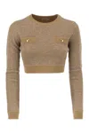 Elisabetta Franchi Sequin Knit Top In Brown