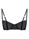 Elisabetta Franchi Sheer Mesh Underwired Bra In Black