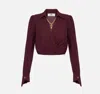 Elisabetta Franchi Shirt With Jewel Detail In Brown