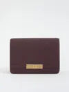Elisabetta Franchi Logo-plaque Chain Shoulder Bag In Burgundy