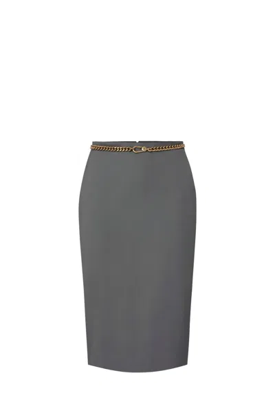 Elisabetta Franchi Skirt In Grey