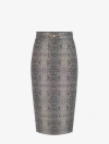 Elisabetta Franchi Skirts In Gray