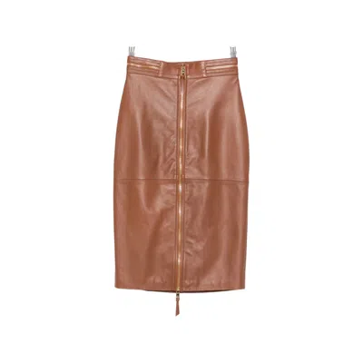 Elisabetta Franchi Skirts In Brown