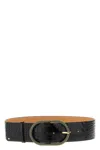Elisabetta Franchi Snake Buckle Belt Belts Black In Black