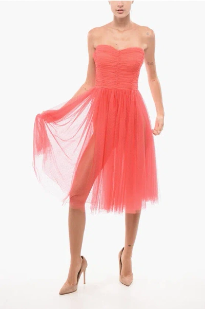 Elisabetta Franchi Strepless Tulle Dress With Flared Skirt In Orange