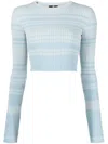 Elisabetta Franchi Knitted Top In Blau