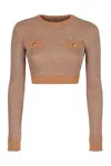 Elisabetta Franchi Sweater With Sequins In Brown