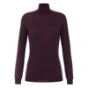 Elisabetta Franchi Wool Blend Turtle-neck Sweater In Purple