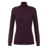 Elisabetta Franchi Wool Blend Turtle-neck Sweater In Purple