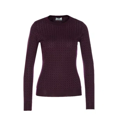 Elisabetta Franchi Sweaters In Purple