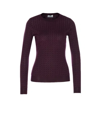 Elisabetta Franchi Patterned-jacquard Long-sleeve Top In Purple