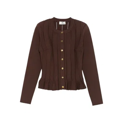 Elisabetta Franchi Sweaters In Brown