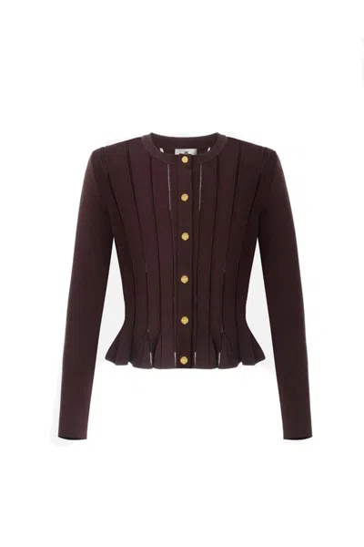 Elisabetta Franchi Sweaters In Brown
