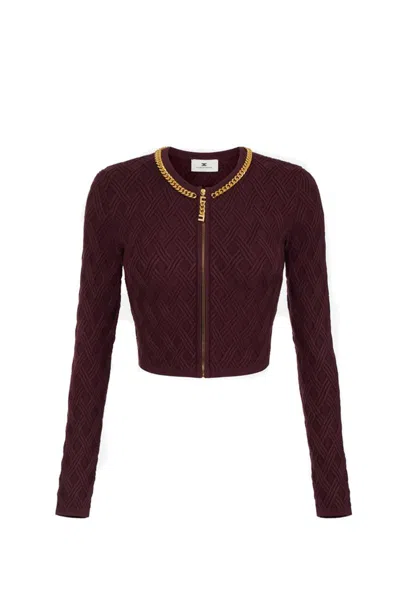 Elisabetta Franchi Sweaters In Brown